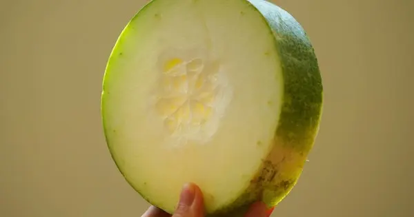 bi-dao-duong-da-trang-min-toan-dien-bi-quyet-tu-thanh-loc-noi-sinh-che