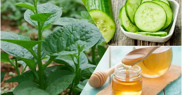 bi-quyet-toan-dien-tu-mat-na-rau-mong-toi-tri-toc-kho-xo-den-thanh-loc