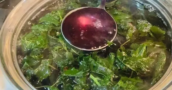 nuoc-la-tia-to-giam-can-dep-da-kham-pha-cong-dung-toan-dien-va-bi-quye