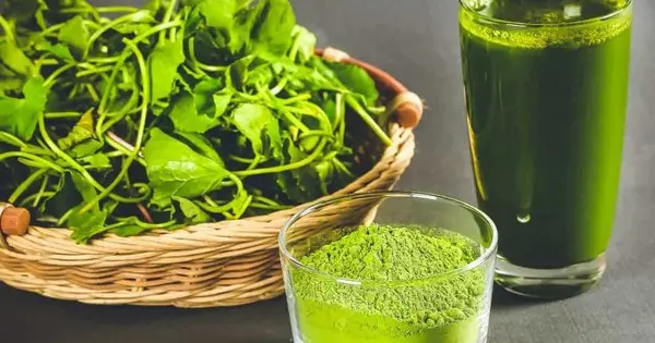 rau-ma-va-bi-quyet-cham-soc-da-toan-dien-ket-hop-thao-duoc-thien-nhien